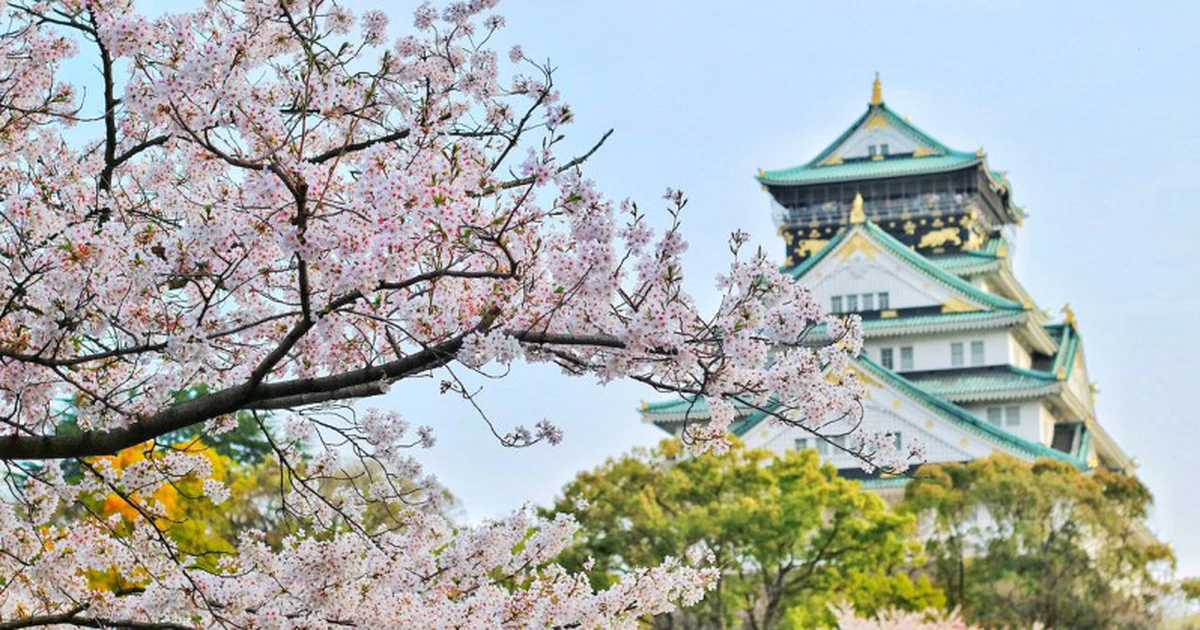 Việt Nam lọt top 10 quốc gia được yêu thích nhất: Tín hiệu thăng hạng trên bản đồ du lịch thế giới