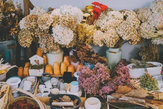 Tha thứ như một hành động chữa lành cảm xúc