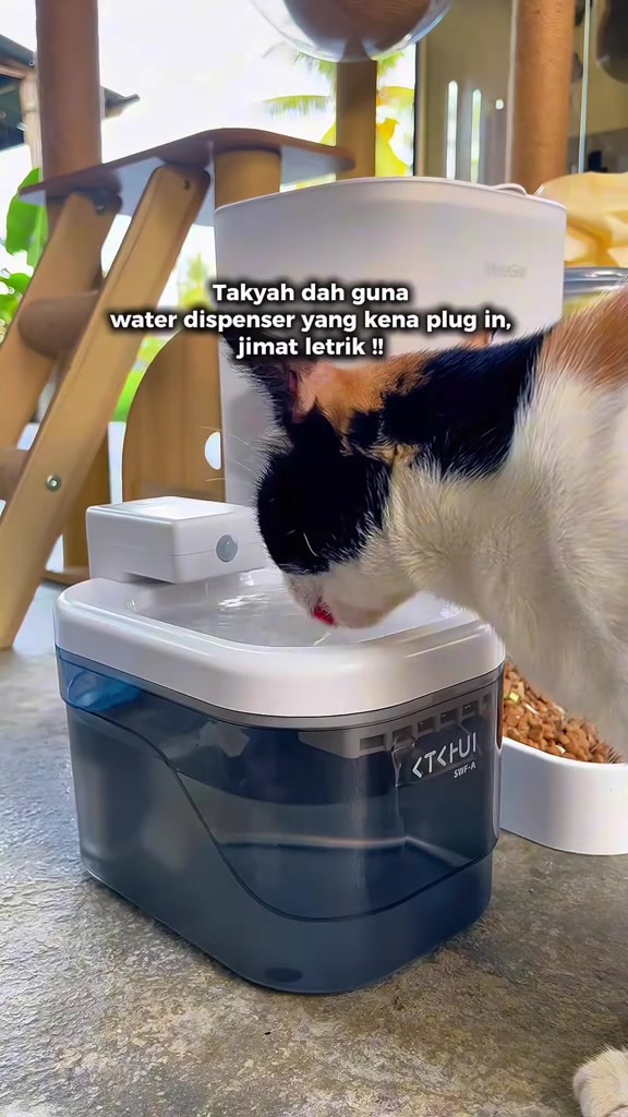 Water fountain kucing: berbaloi ke untuk dua kucing dalam apartment KL?
