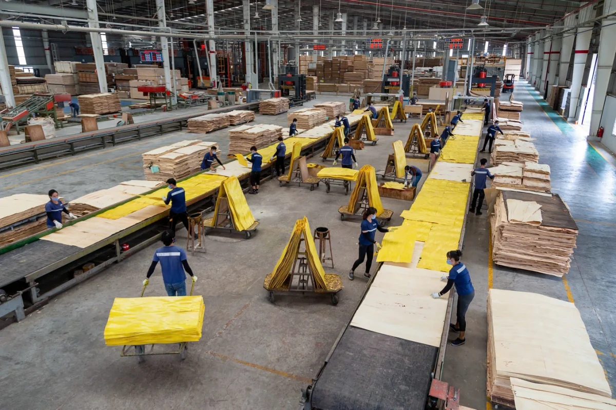 Thị trường gỗ nội địa: động lực mới cho tăng trưởng ngành gỗ