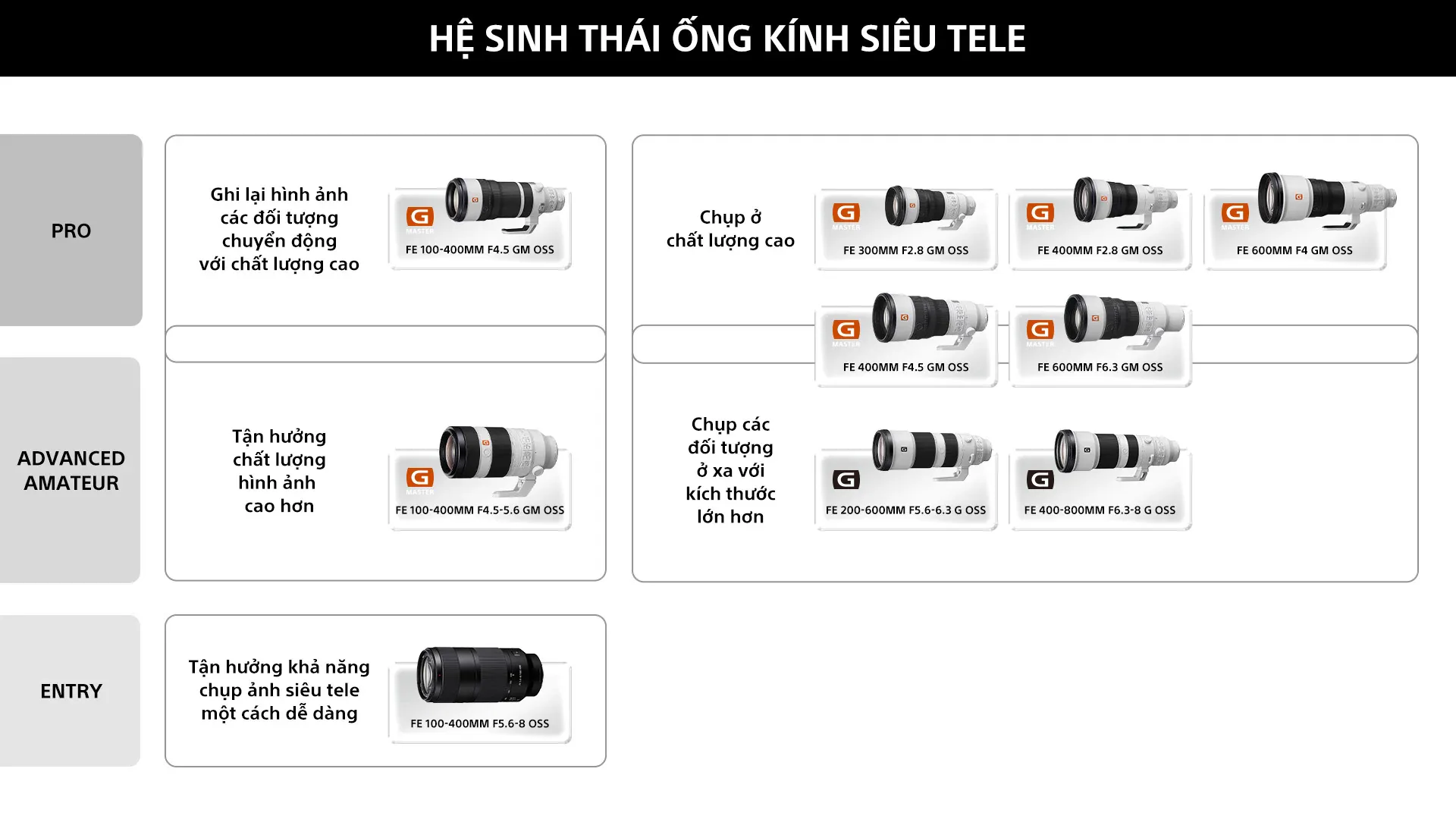 Sony FE 400mm f/4.5 Và 600mm f/6.3: Đỉnh Cao Ống Kính Siêu Tele Nhẹ