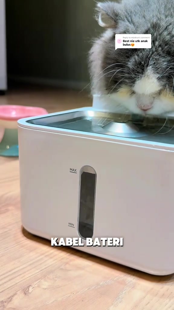 Kucing bulu kelabu putih minum dari water fountain putih bertetingkap paras air MAX dan MIN