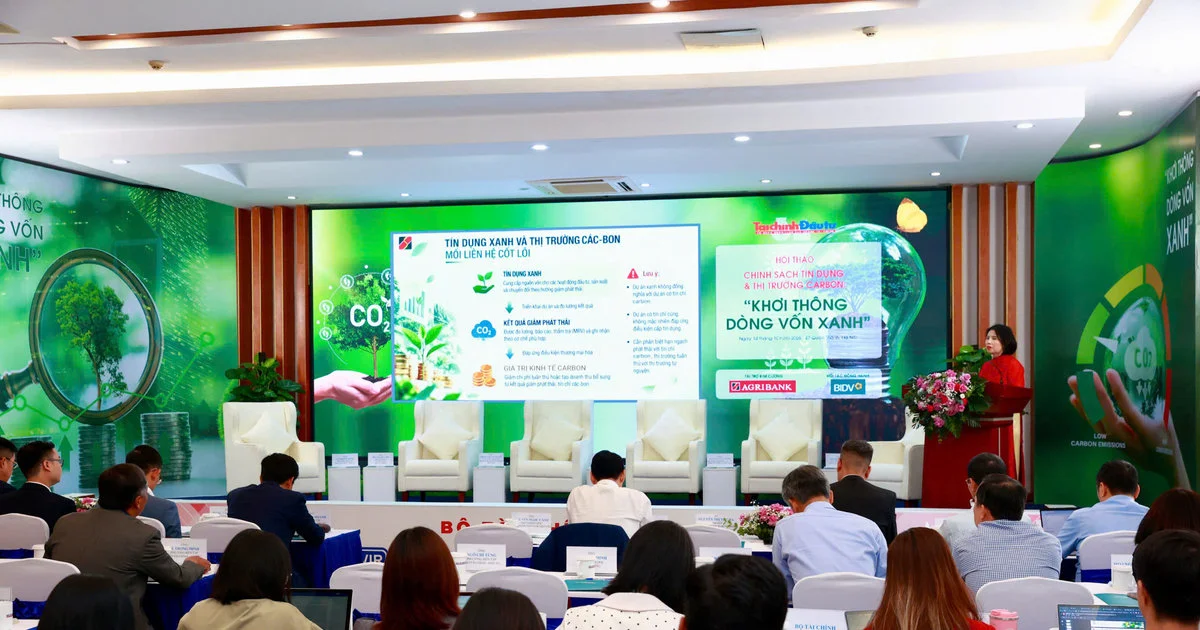 Tín dụng xanh đi trước, doanh thu carbon đến sau