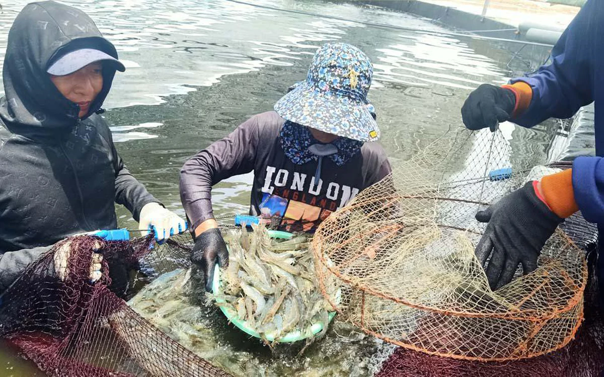 Công nghệ sinh học biến phụ phẩm nông nghiệp thành giá trị kinh tế