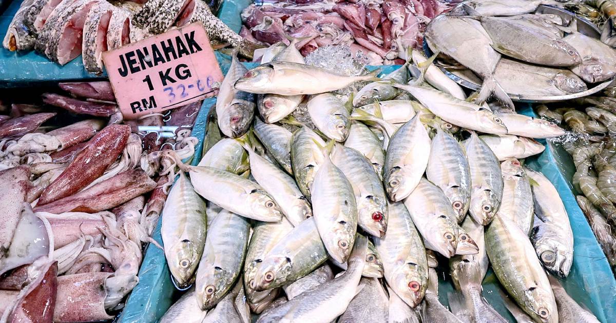 Program SARA Segar: Lega Belanja Dapur, Kurang Tekanan Kos