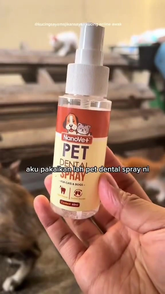 Bau mulut kucing bukan benda normal: rutin jaga gigi dua majikan di apartment KL dengan dental spray RM25