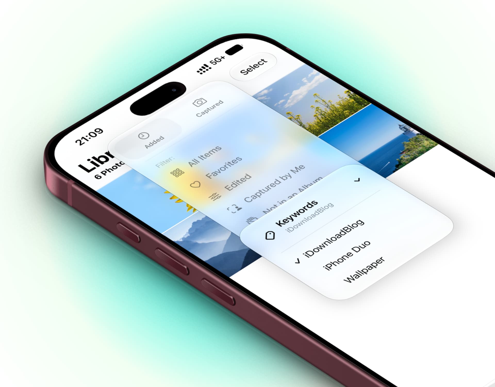 Cách tìm kiếm và sắp xếp ảnh trên iPhone nhanh với Photos