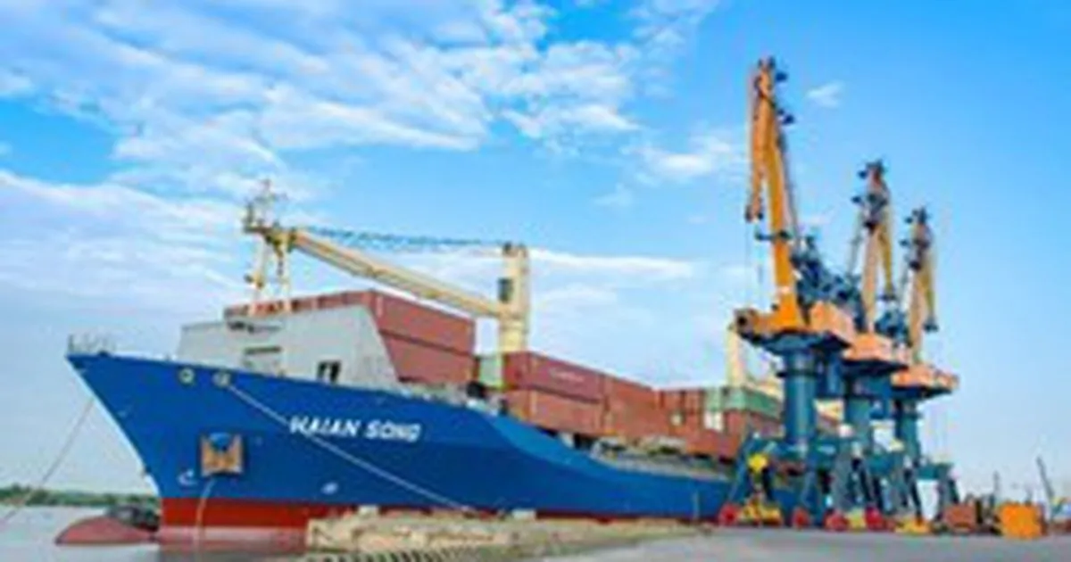 Đóng tàu container Việt Nam: Cú đầu tư lớn và cuộc đua hiện đại hóa hạm đội