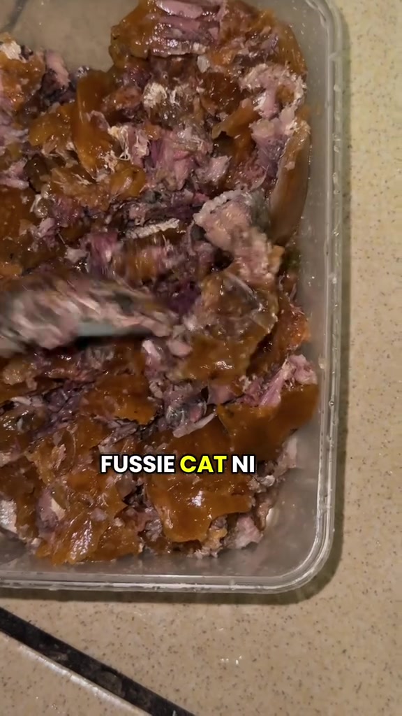 Makanan basah kucing dilecek dalam bekas plastik, nampak isi ikan dan kuah pekat
