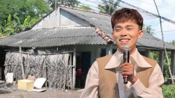 Từ rẫy cà phê đến sân khấu: sức bật của những ngôi sao V-pop