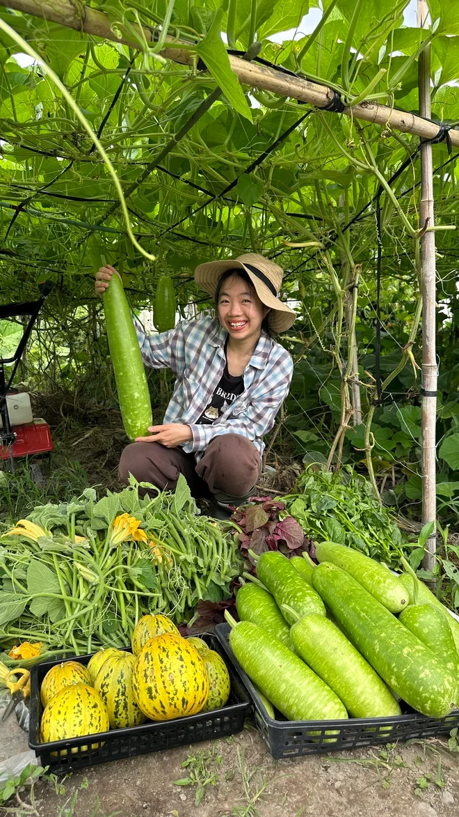 Từ đất bỏ hoang đến vườn rau xanh: khi không gian sống biết kể chuyện