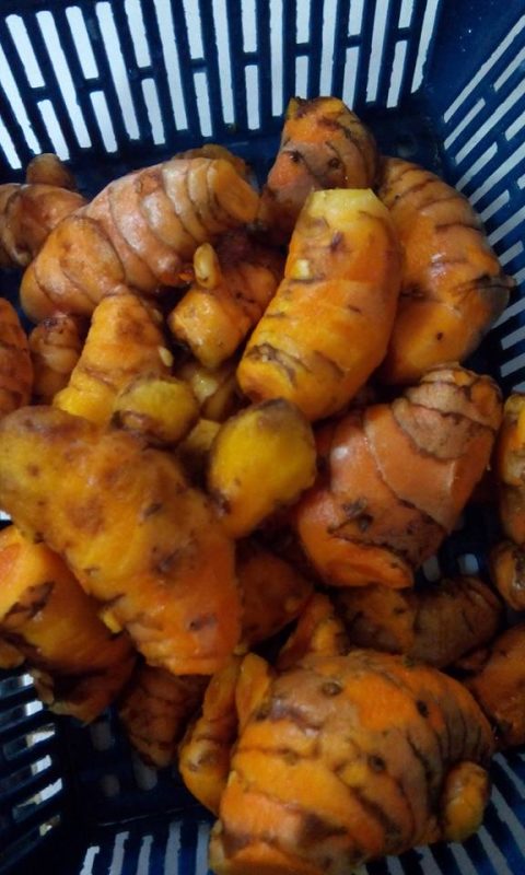 Cara Simpan Bawang dan Sayuran Supaya Tahan Lama di Dapur