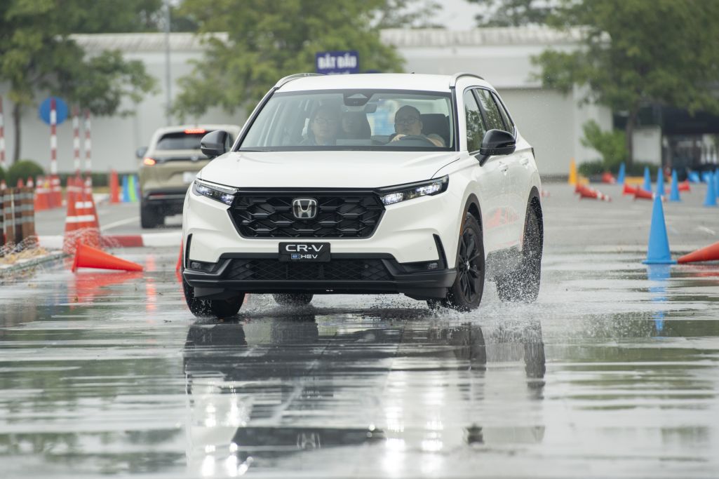 Toyota áp đảo xe hybrid bán chạy, Land Cruiser HEV gây bất ngờ