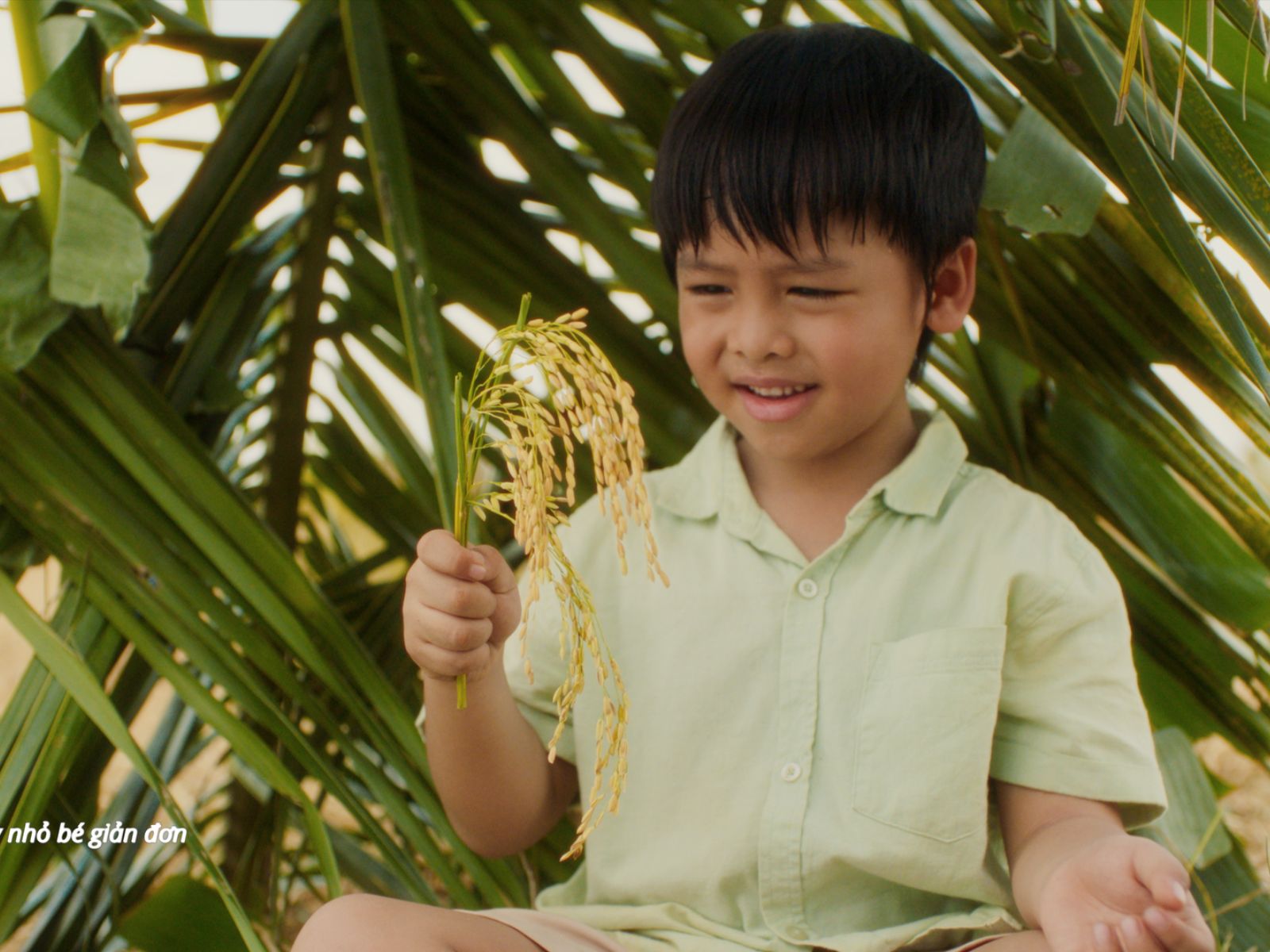Phương Mỹ Chi kể chuyện tự hào dân tộc qua MV “Gạo Của Ta”