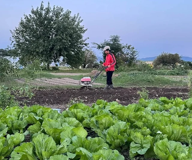 Từ đất bỏ hoang đến vườn rau xanh: khi không gian sống biết kể chuyện