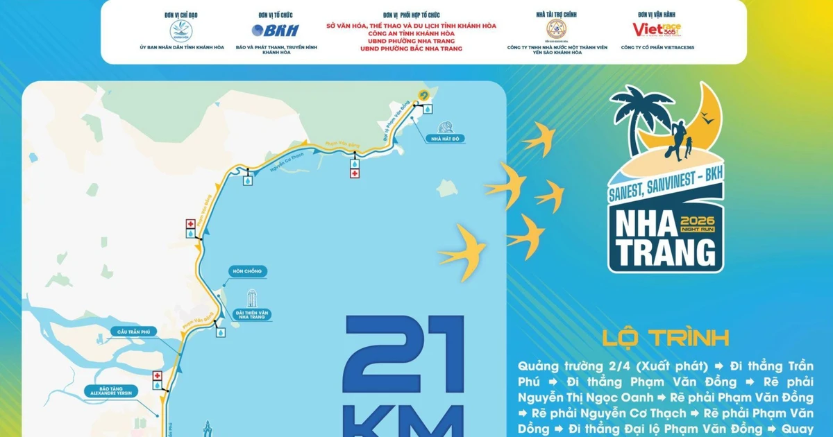 Nha Trang Night Run: Hướng dẫn toàn diện cho cung đường ven biển