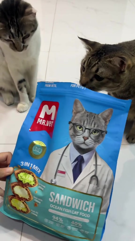 Kucing cerewet makan: punca sebenar, umpan yang berbaloi, dan bila mogok makan jadi kecemasan