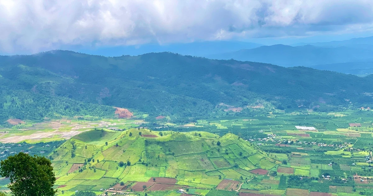 Cuộc thi ảnh và video tại các lễ hội địa phương: Cơ hội vàng cho nhiếp ảnh gia