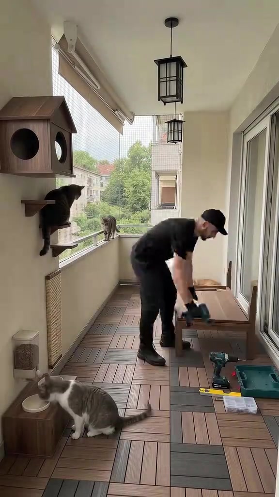 Balkoni apartment KL selamat untuk dua kucing: jaring RM10, pasang sendiri tanpa tebok, dan aturan main saya