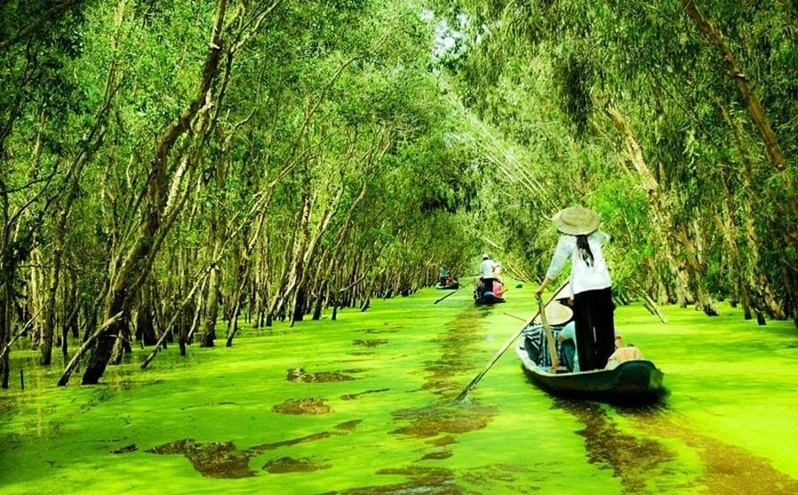 Cà Mau tăng tốc đầu tư hạ tầng vùng sâu để bứt phá kinh tế