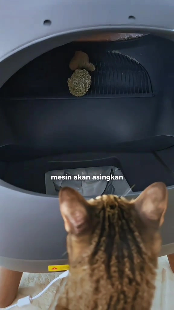 Kotak pasir kucing automatik: berbaloi ke untuk dua kucing di apartment KL?