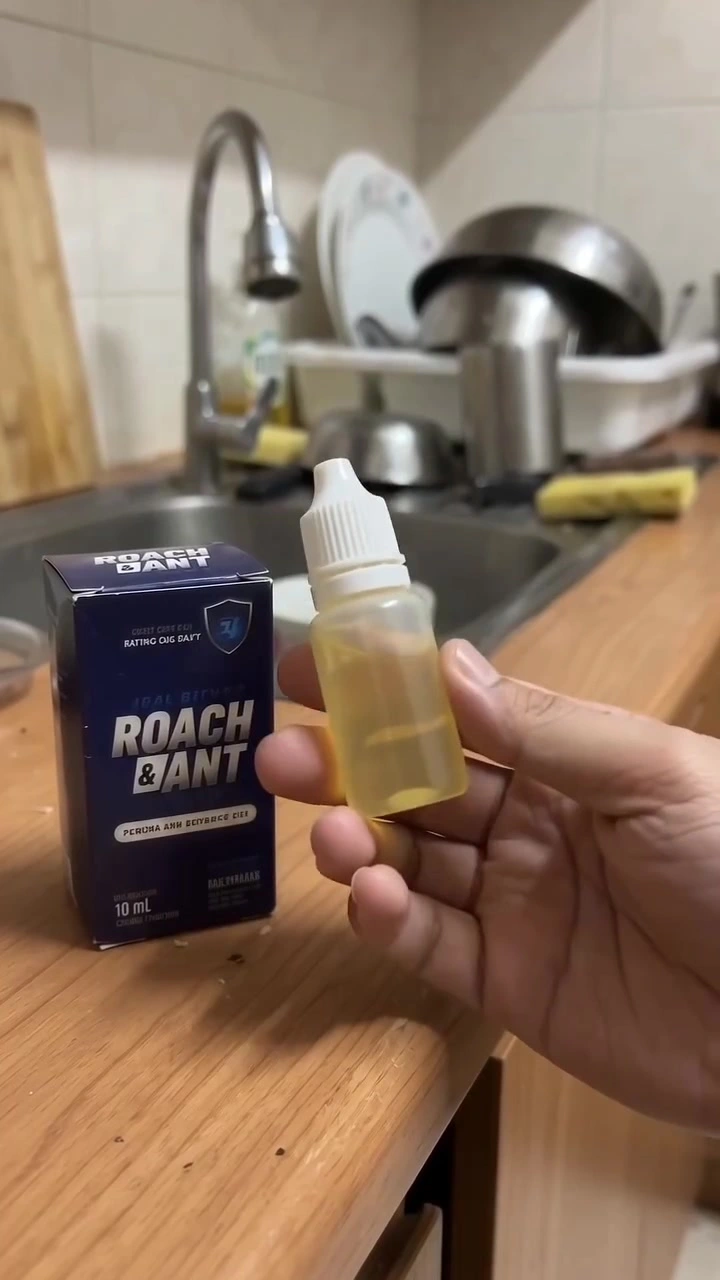 Ubat Lipas Rumah Sewa: Gel Bait vs Spray vs Perangkap Lekit, Mana Berkesan & Cara Guna Betul