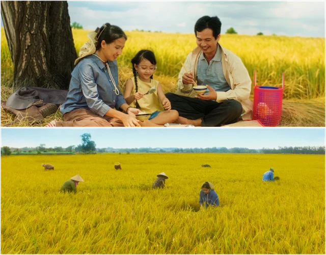 Phương Mỹ Chi kể chuyện văn hóa qua hạt gạo trong MV Gạo Của Ta