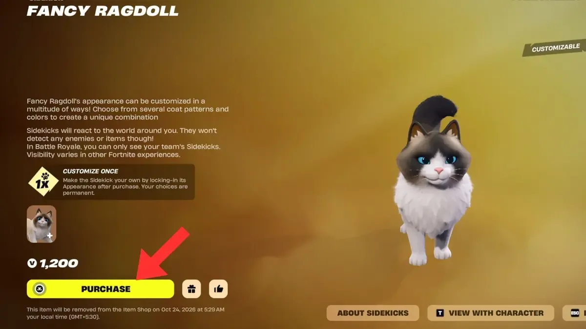 Hướng dẫn sở hữu Fancy Ragdoll Sidekick trong Fortnite