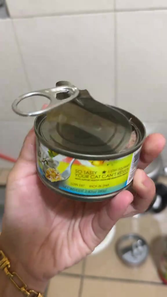 Tin makanan kucing basah yang telah dibuka dengan penutup ring-pull