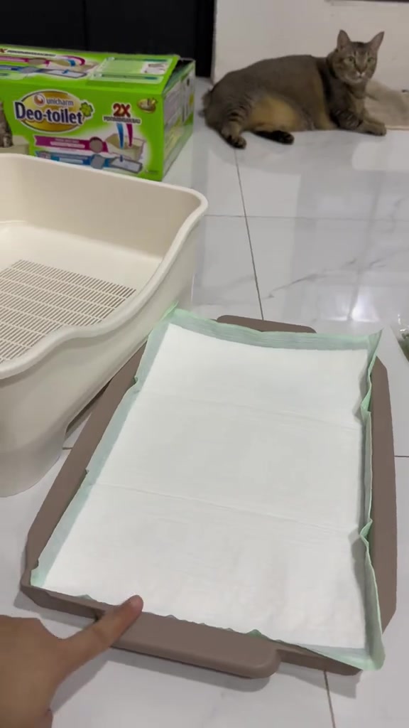 Tray kotak pasir dua lapis dengan pad penyerap putih di tray bawah dan kotak bergrid di sebelah, seekor kucing berbaring di latar belakang
