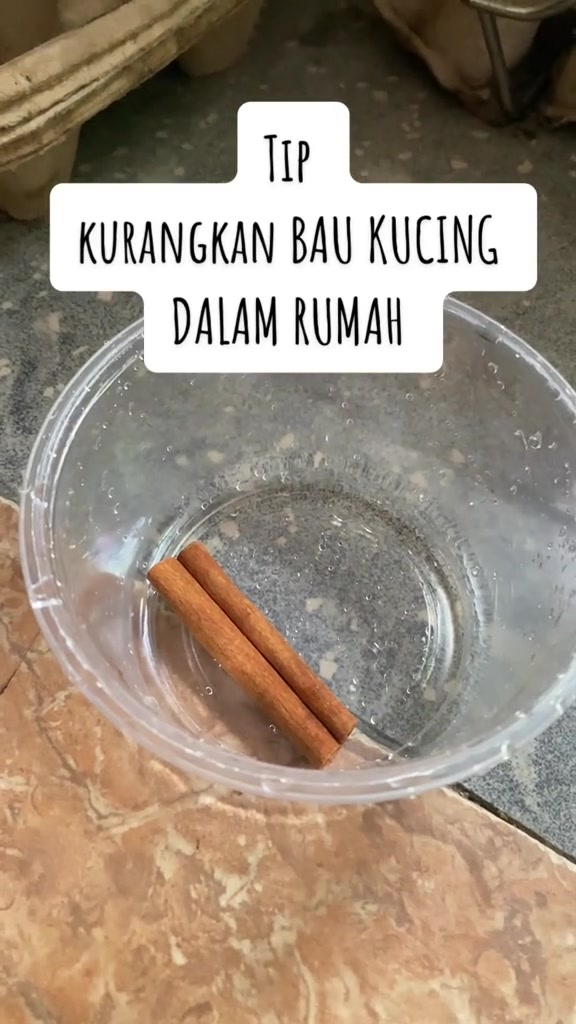 Mangkuk plastik jernih berisi air dengan dua batang kayu manis di dalamnya di atas lantai