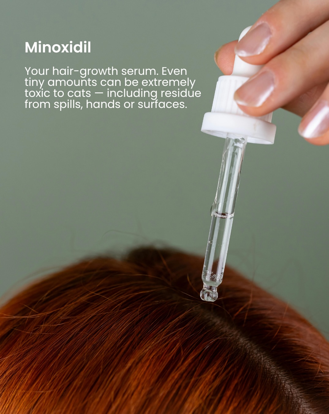 Penitis mengeluarkan titisan serum rambut di atas kepala berambut perang