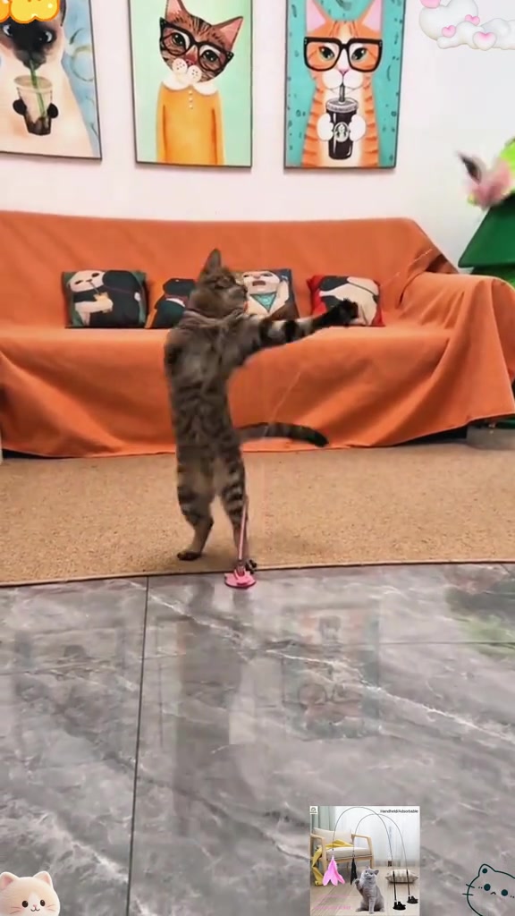 Kucing belang berdiri atas dua kaki menampar wand berbulu yang melekat pada tapak suction cup di hadapan sofa oren