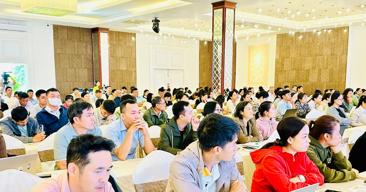 Hướng dẫn tiêm phòng bệnh dại cho chó mèo: Chủ nuôi không được phép lơ là