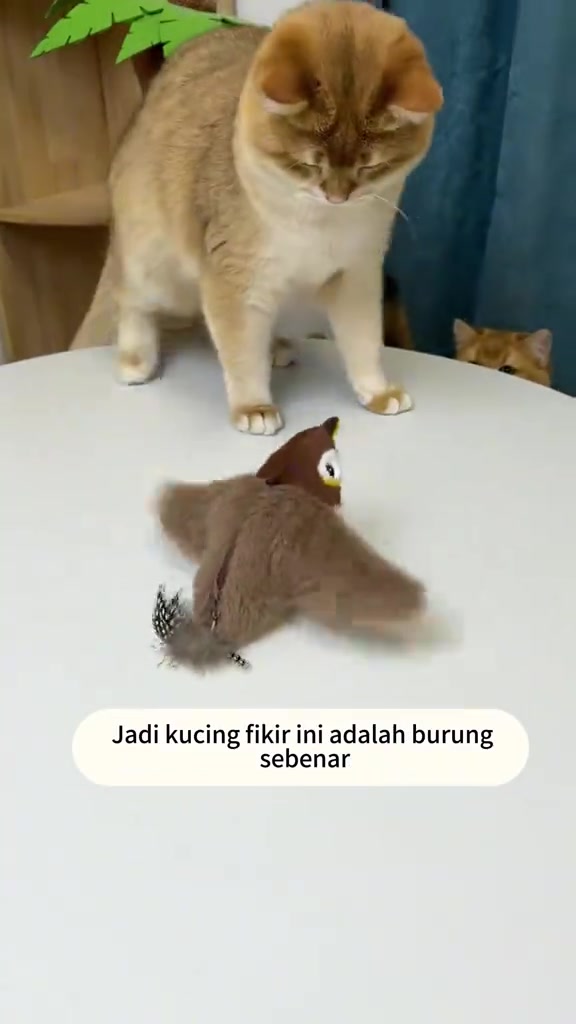Kucing berdiri di atas meja putih memerhati mainan burung plush mengepak, dengan seekor kucing lagi mengintip dari tepi
