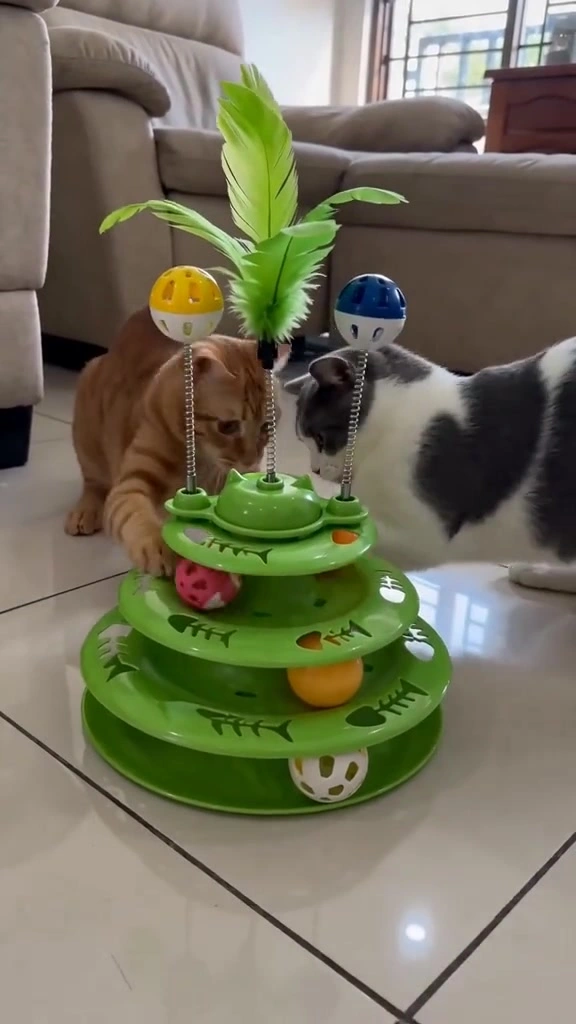 Mainan kucing untuk dua kucing indoor di apartment KL: mana yang berbaloi, mana yang jadi hiasan