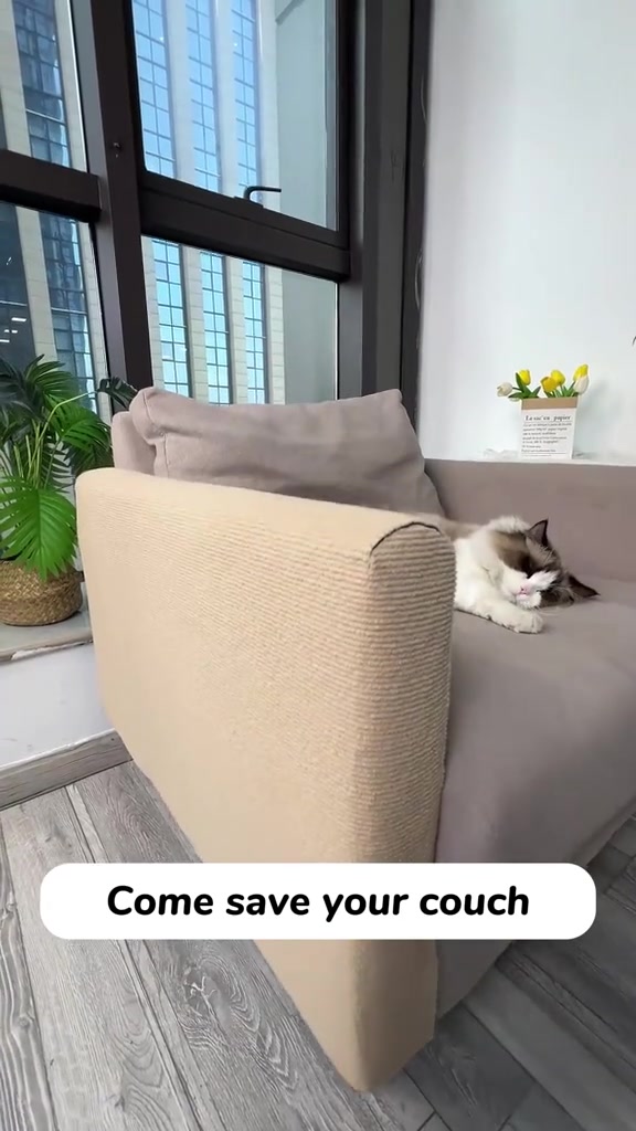 Kucing baring di sofa kelabu yang lengannya ditutup penutup sisal beige