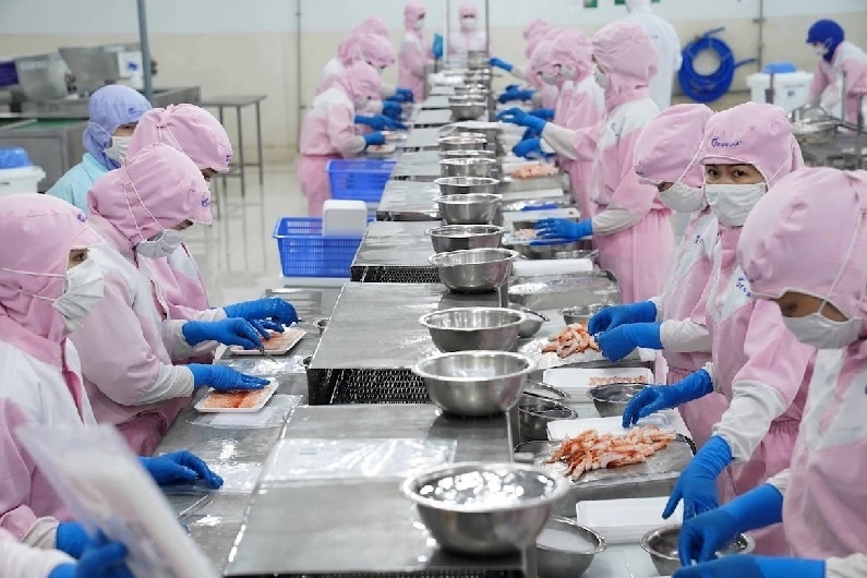 Cá rô phi và cá đối: lựa chọn protein rẻ tiền cho dân tập thể hình
