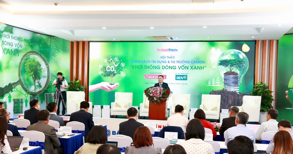 Tín dụng xanh kết nối thị trường carbon: Lối thoát tài chính cho doanh nghiệp chuyển đổi xanh