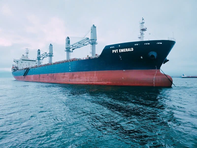 Tàu container Việt Nam: Cuộc đua nâng cấp đội tàu trước sức ép khu vực