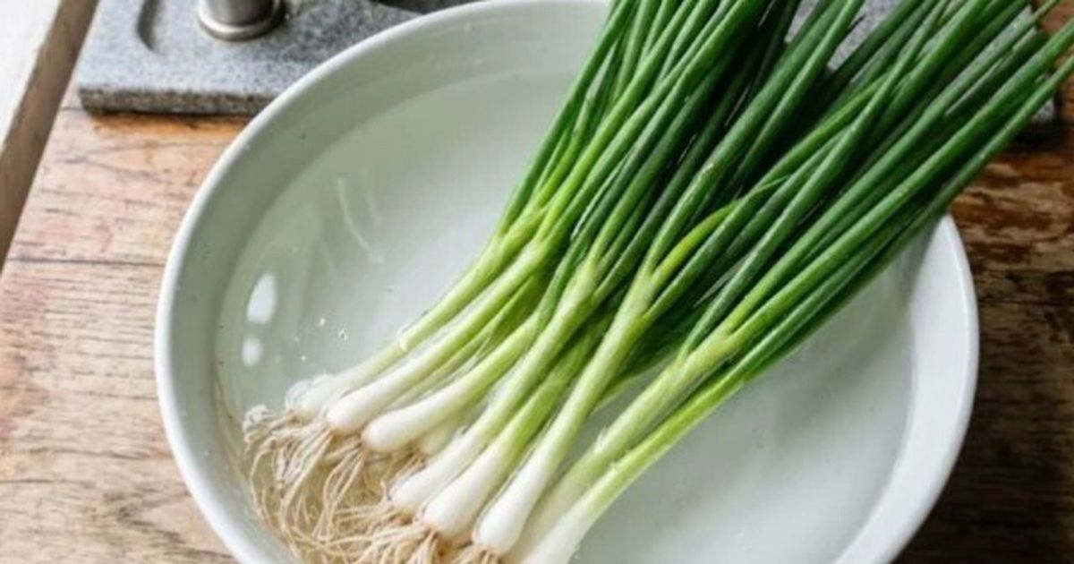 Hành lá để cả tháng vẫn tươi ngon: bí quyết sơ chế và bảo quản đơn giản