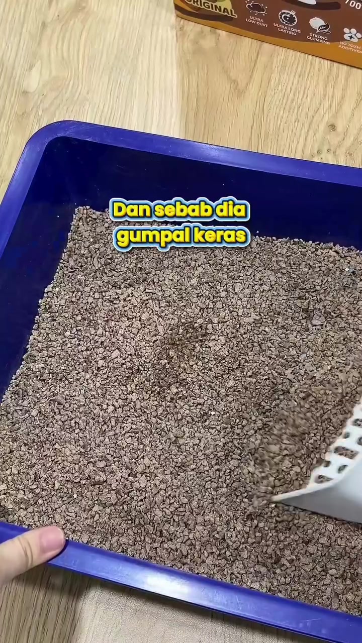 Pasir kucing hampas kopi berwarna coklat dalam kotak pasir biru bersama ciduk putih