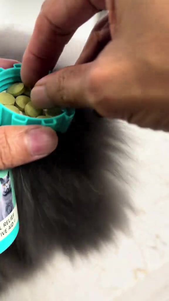 Tangan mengambil tablet hijau kecil dari botol berturquoise dengan bulu kucing kelabu di latar