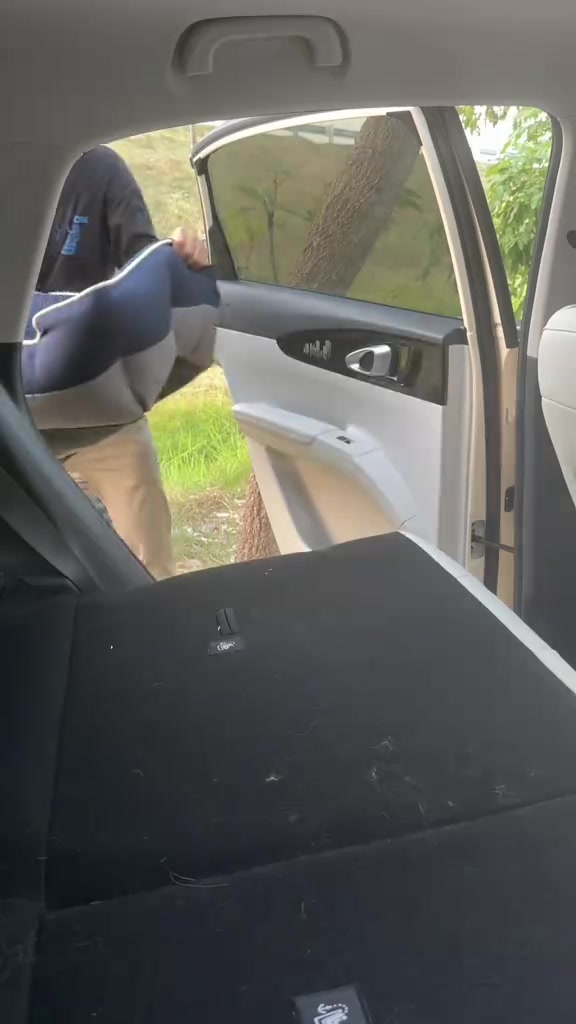 Tangan memasukkan alas tidur kucing berwarna biru kelabu ke dalam kereta melalui pintu belakang yang terbuka