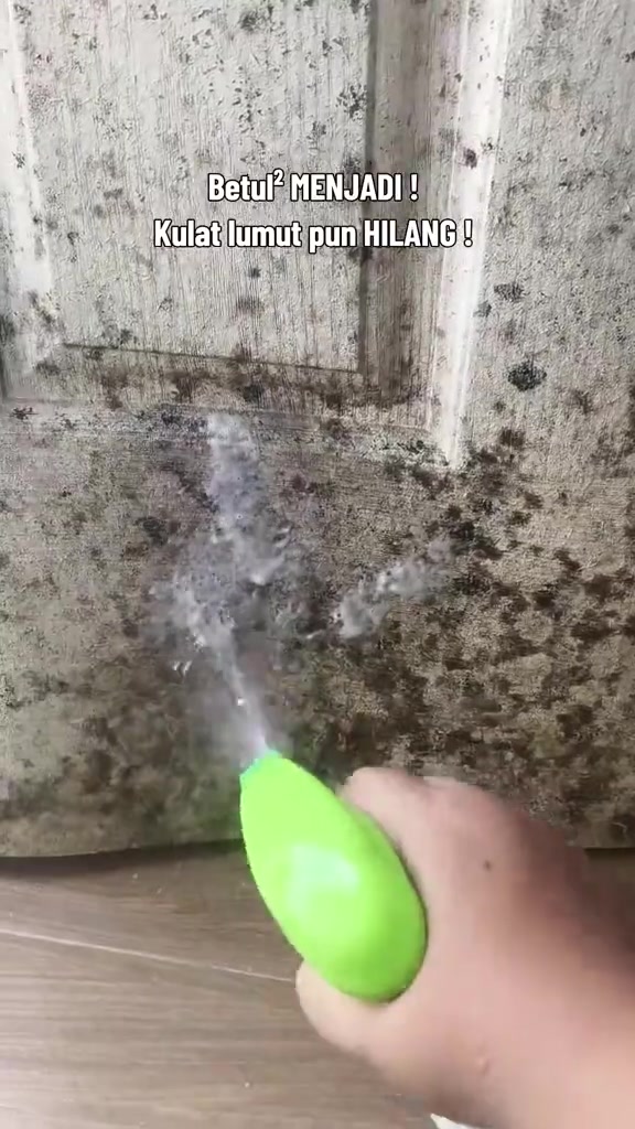 Tangan menekan pencetus spray hijau pada pintu dan dinding yang dipenuhi kulat hitam tebal
