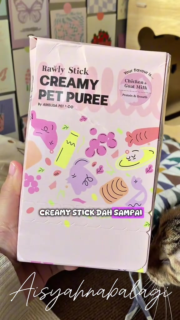 Kotak snack kucing Rawly Stick Creamy Pet Puree warna merah jambu perisa chicken & goat milk dipegang di tangan