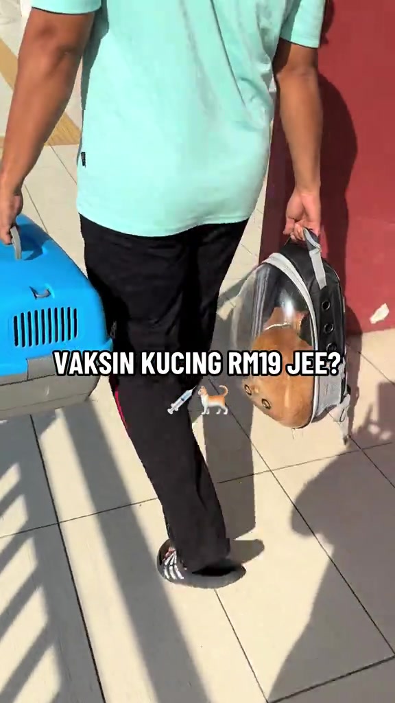 Seorang pemilik dilihat dari belakang menjinjing carrier biru dan beg galas berisi kucing oren menuju ke klinik veterinar