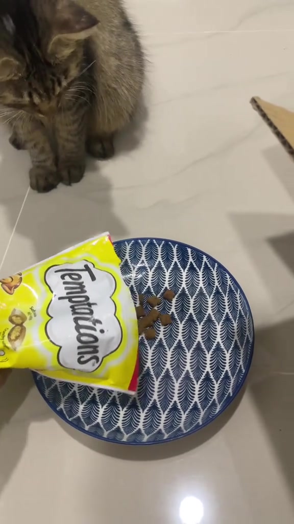 Pek kuning Temptations menuang treats crunchy ke pinggan bercorak biru sementara kucing tabby menunggu di sebelah