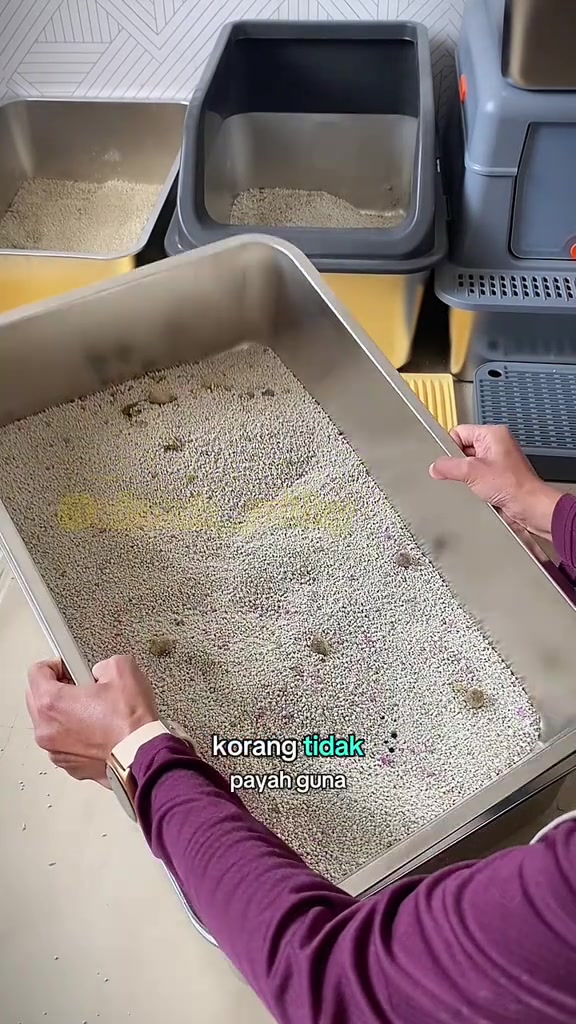 Bekas pasir kucing stainless steel vs plastik: beza bau, calar dan harga RM yang saya kira semula