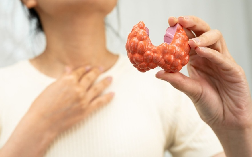 Viêm tuyến giáp Hashimoto: Nhận diện sớm trước khi quá muộn